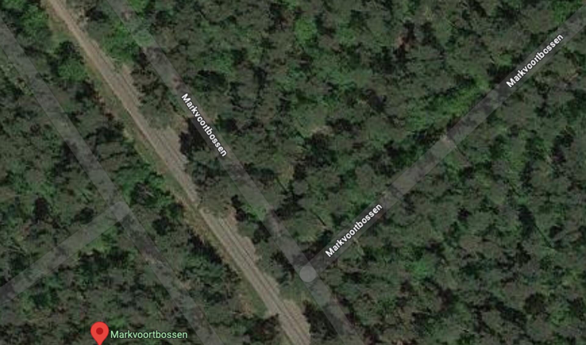 Markvoortse bossen. Bron Google Maps.