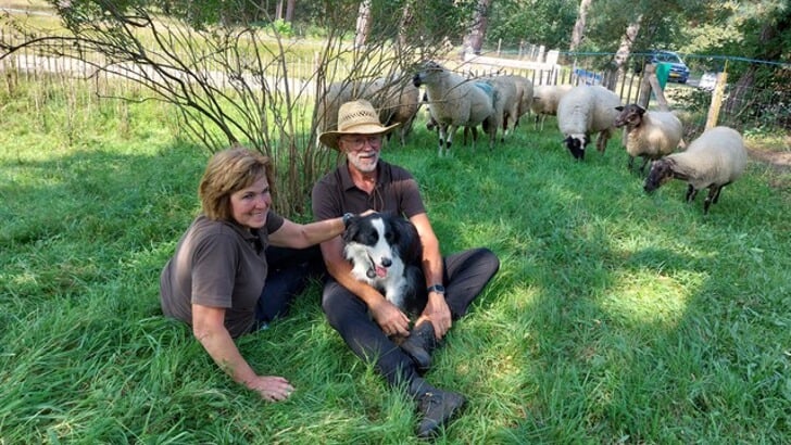 Herder Harrie en Elly hebben zich met hart en ziel ingezet voor de kudde.