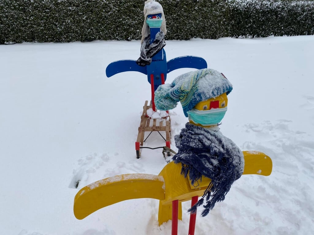 De blauwe en gele vogel hadden ook last van de sneeuw. Foto: Roy Tazelaar