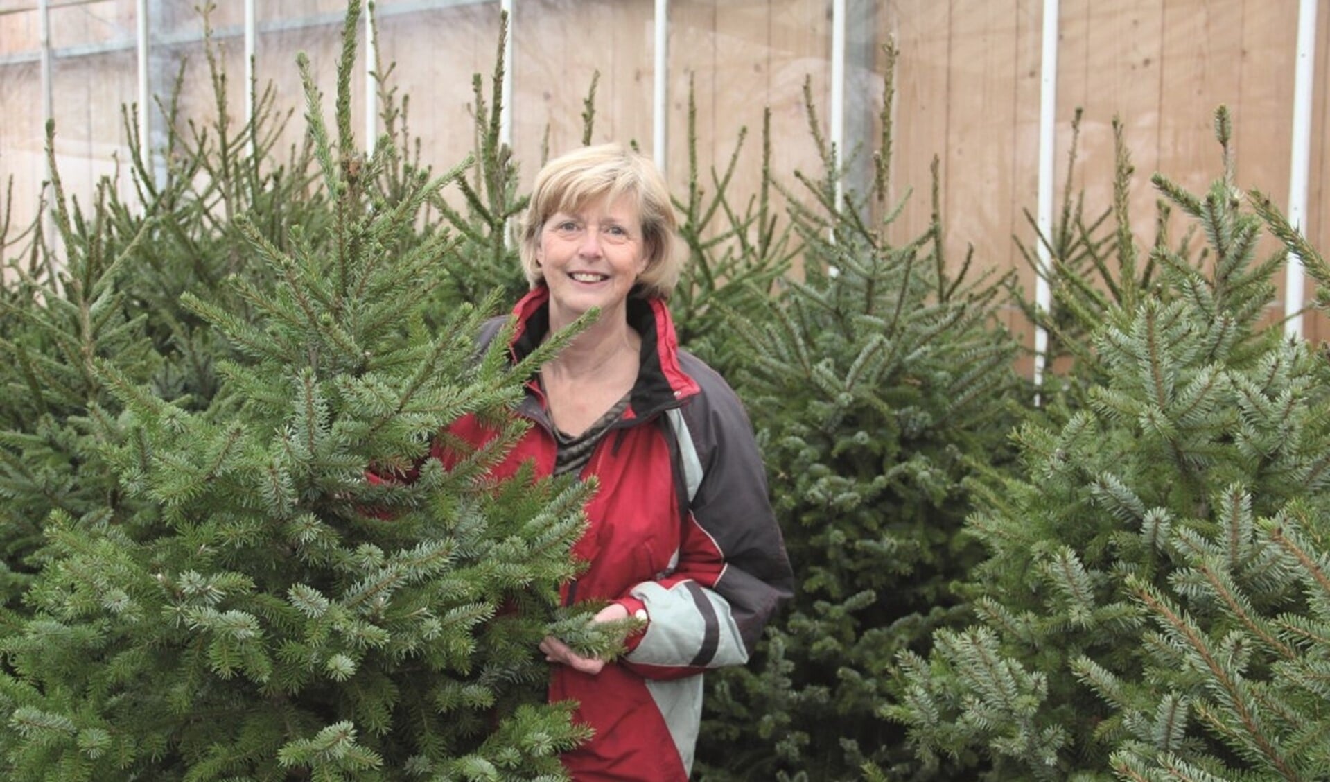 Marian Kampschreur staat dit jaar voor het laatst tussen de kerstbomen.