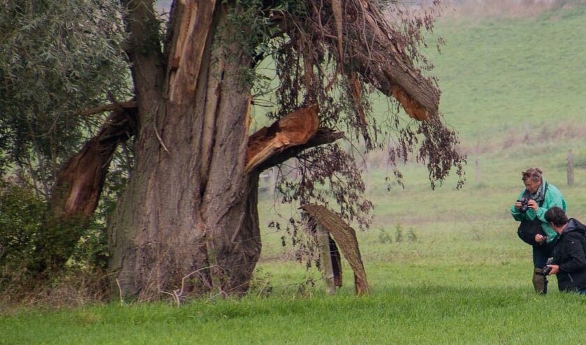 Samen op pad in het veld. (foto: Wil Teunissen)