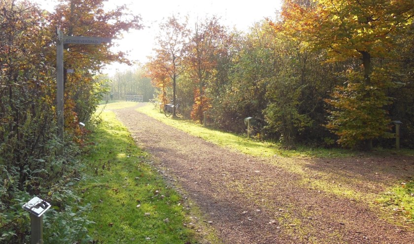 Schrieverspad op landgoed Kotmans. (foto: Ine Uwland)