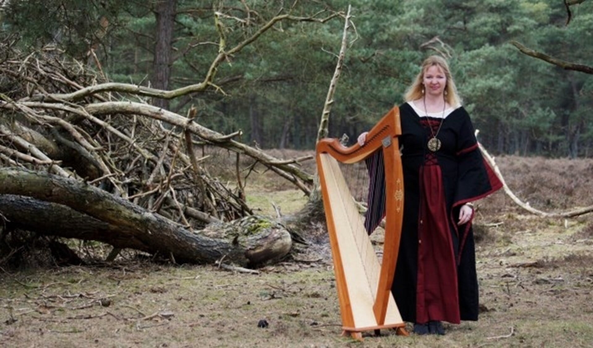 Regina Ederveen is een gepassioneerd harpiste, die met plezier haar harp bespeelt. (foto: K. Maaswinkel)