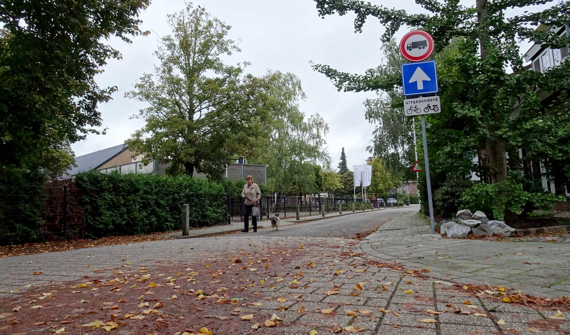 De Flierenhofstraat wordt een rode  fietsstraat waarin auto's te gast zijn. (foto: Sjaak Veldkamp)