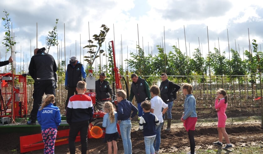 Al jong enthousiast op de boomkwekerij.