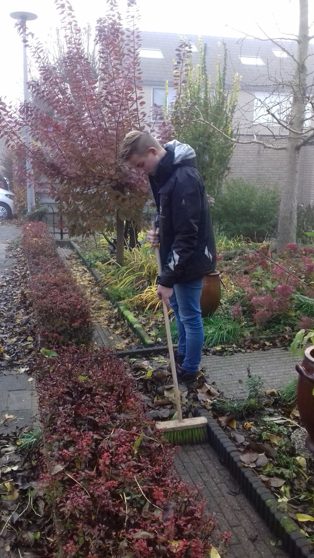 Tuinproject