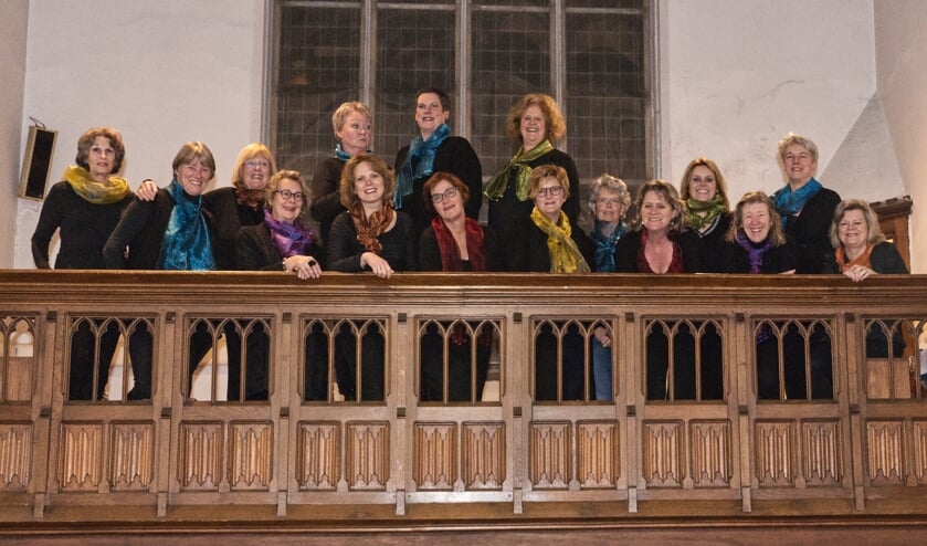 Het koor De Cantantes. (foto: Erik Hendriks)