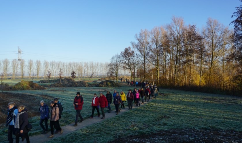 De nieuwe paadjes op De Plak. (foto: Gerrie Wetters)