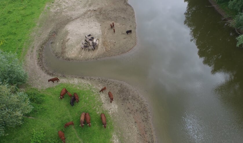 Klompenwaard. (foto: Twan Teunissen)