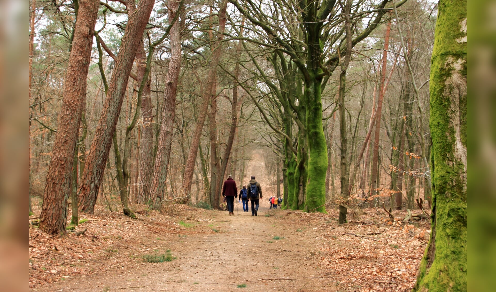 Het gebied ontstond in de ijstijd. (foto: Toin Diks)