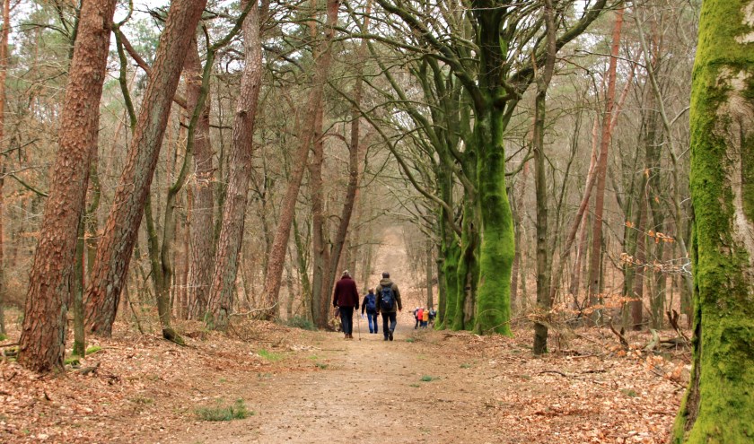 Het gebied ontstond in de ijstijd. (foto: Toin Diks)