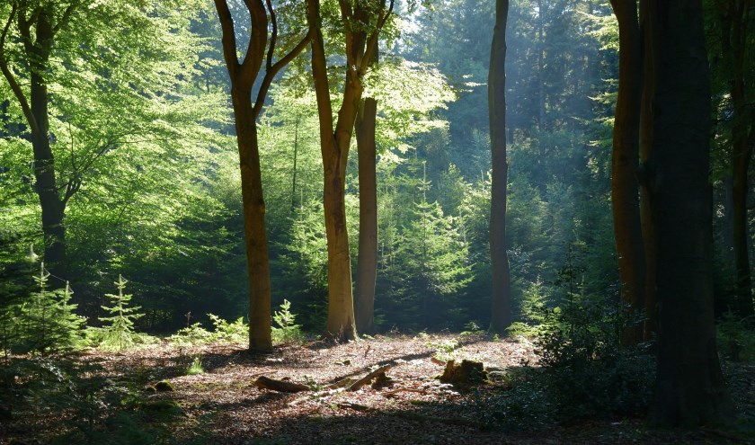 Lichtenbeek