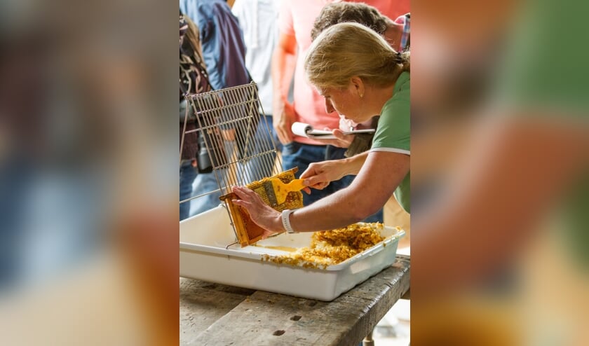 Raten klaarmaken voor het honing slingeren. (foto: Reverse Pixels Photography)