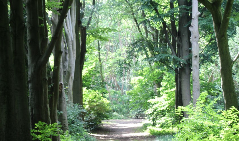 Eltenberg. (foto: Marcel Lap)