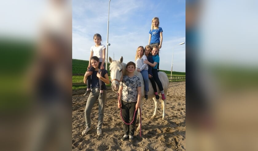 Quickstep met voltigegroep. (foto: Lianne van Thiel)