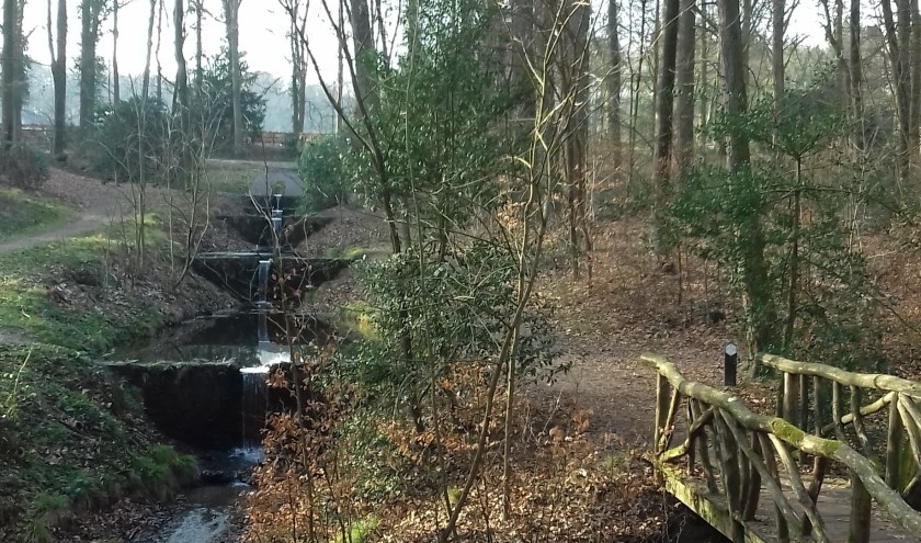 Wandelpad Oosterbeek. (foto: Bettie Elzenaar)