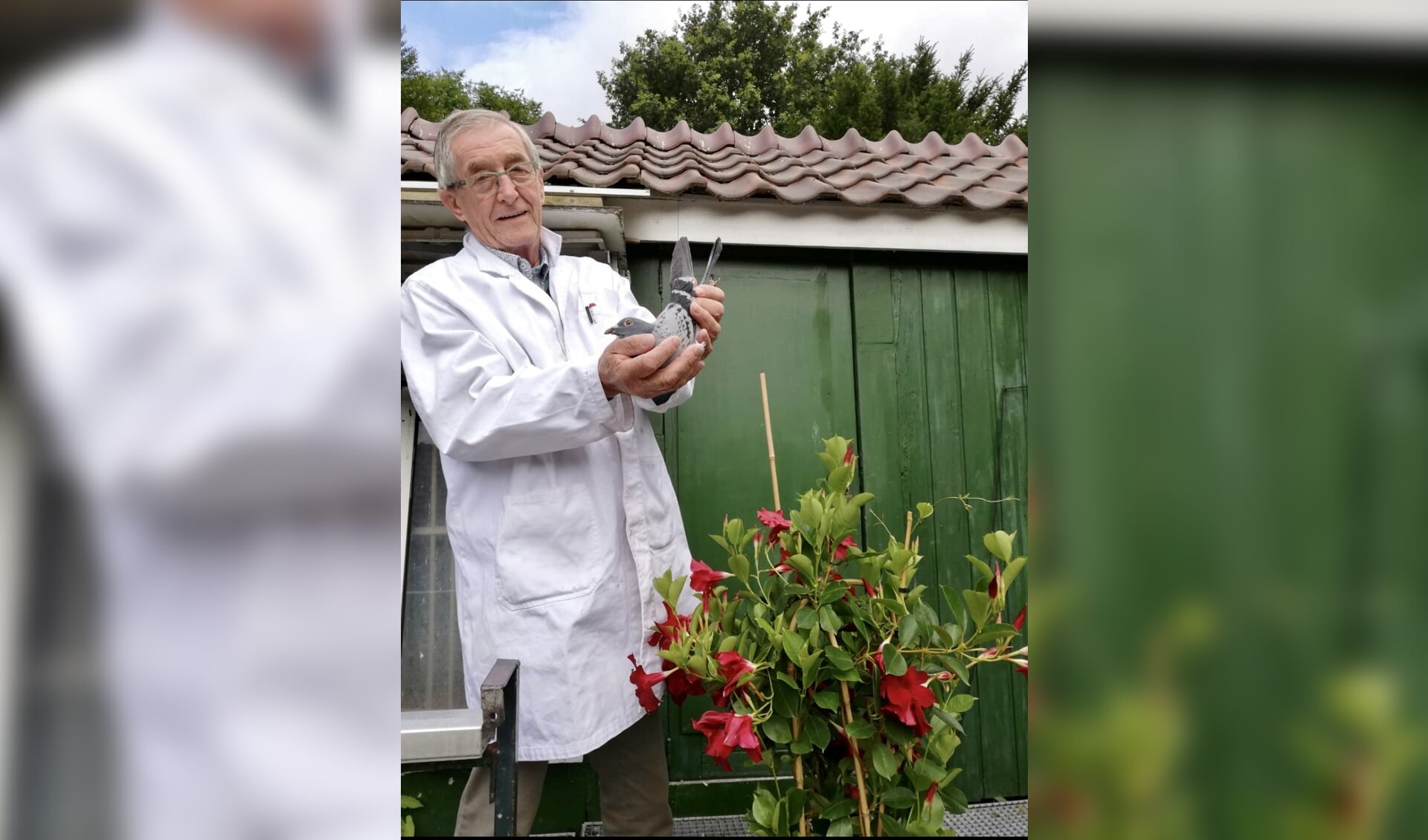 De schoenmaker uit Gendt met de winnende doffer. (foto: mevrouw Leemreise)