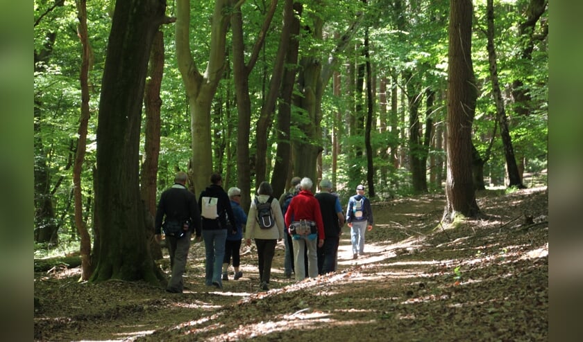 Geopaden excursie. (foto: Toin Diks)