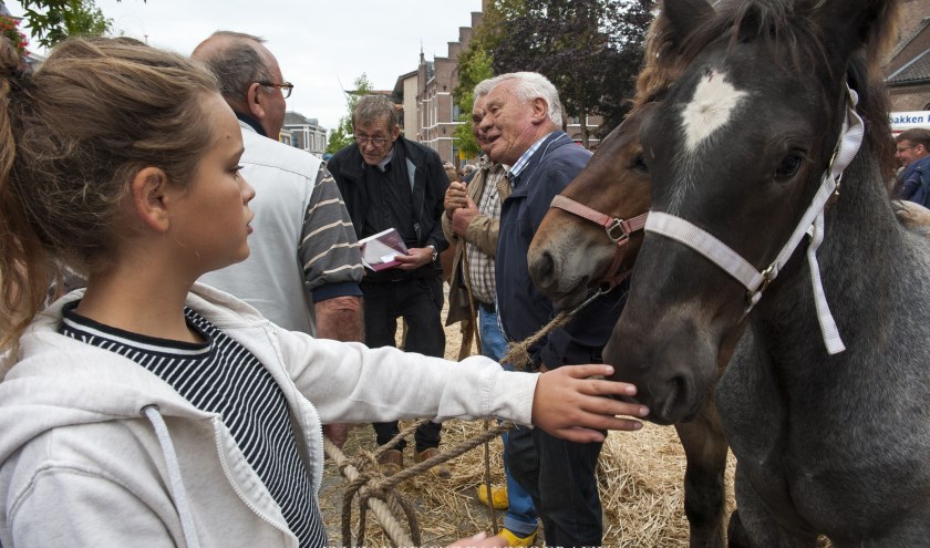 (foto: Ellen Koelewijn/Expressionelle)