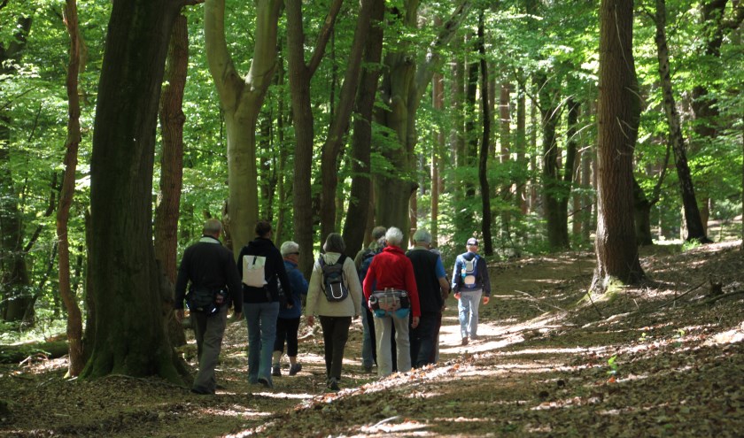 Geopaden excursie (foto: Toin Diks)