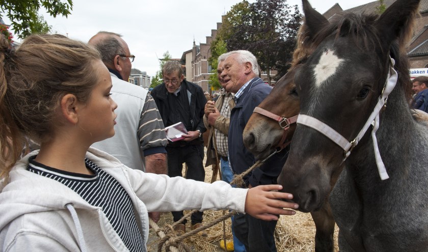 (foto: Ellen Koelewijn/Expressionelle)