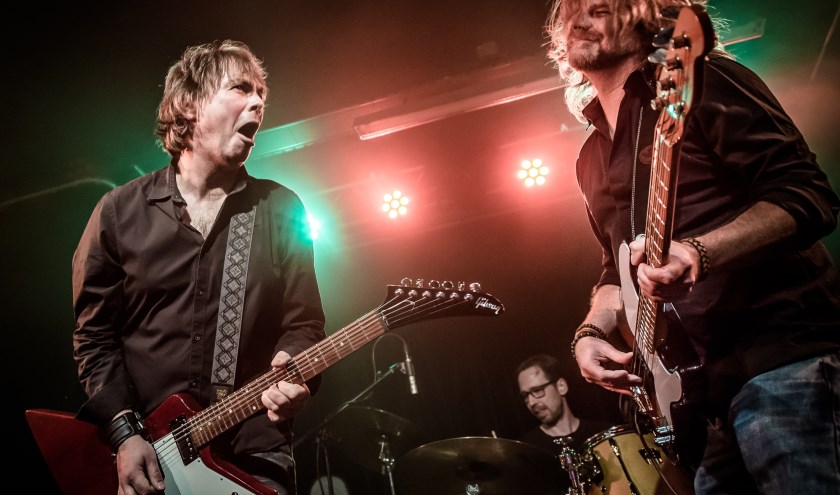 Farstreet. (foto: Farstreet)