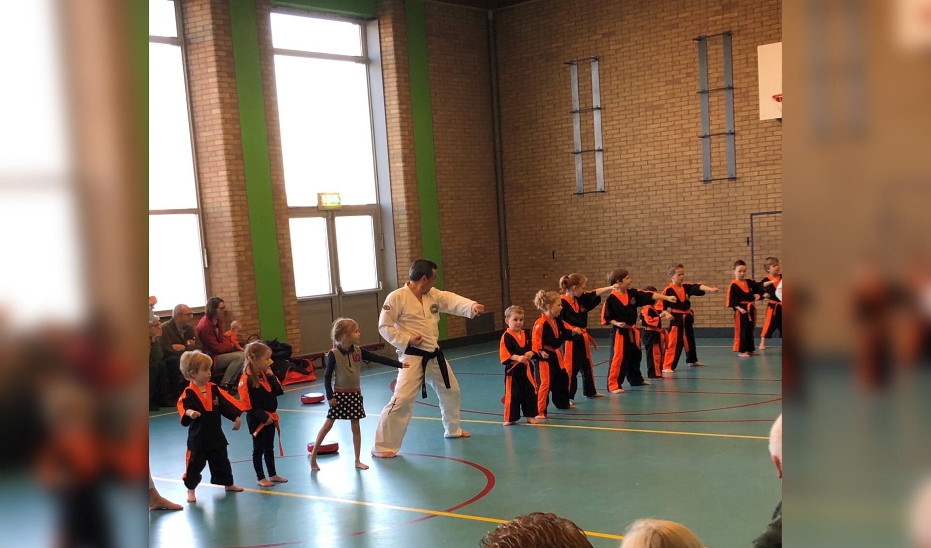 Taekwondo Tigers. (foto: Emil Ripassa)
