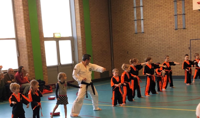 Taekwondo Tigers. (foto: Emil Ripassa)