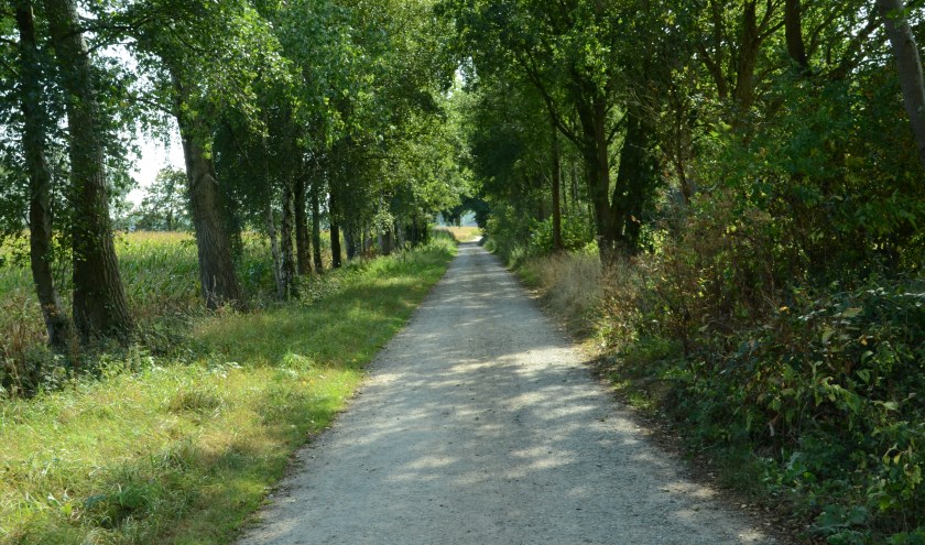 Half verhard laantje in De Nevelhorst. (foto: Gerrit van Alst)