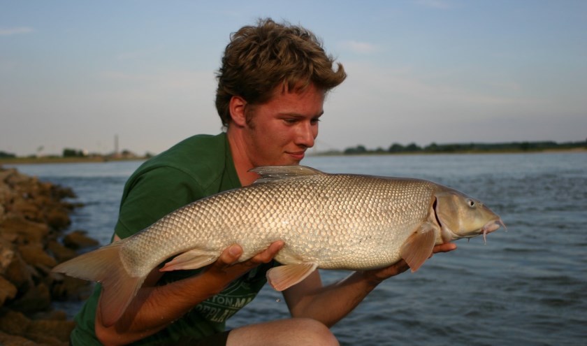 Op de rivier zijn prachtige vissen te vangen. (foto: Hengelsport federatie midden Nederland )