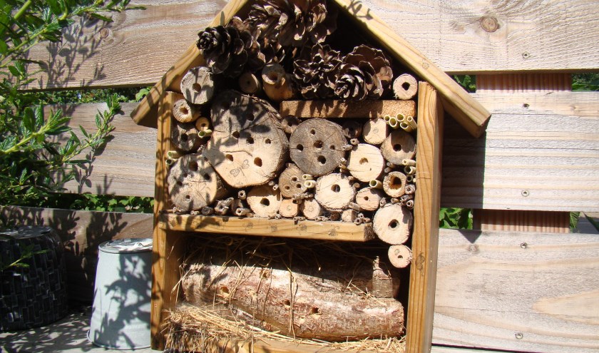 Insectenhotel. (foto: Jannet Tigchelaar)