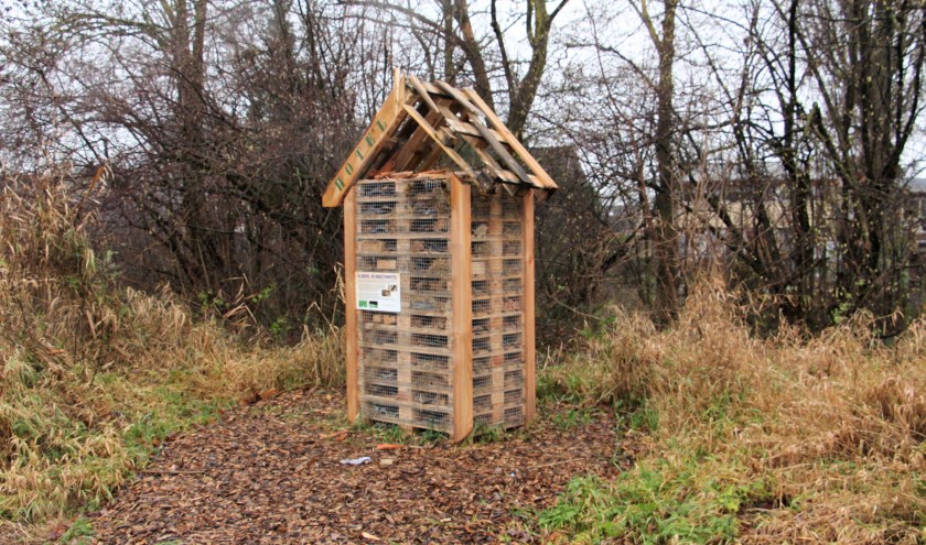 Insectenhotel. (foto: Jan Oude Geerdink)