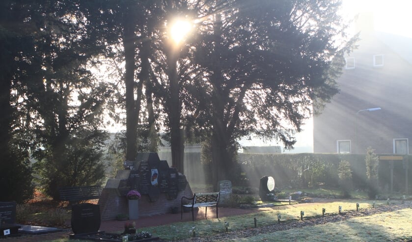 Zon schittert door bomen bij het kerkje van Angeren. (foto: Marcel Smit)