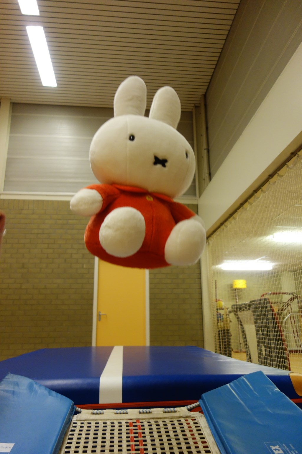 Nijntje op de trampoline