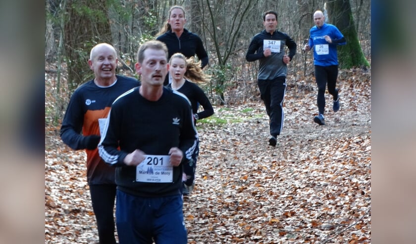 Lopers in het bos