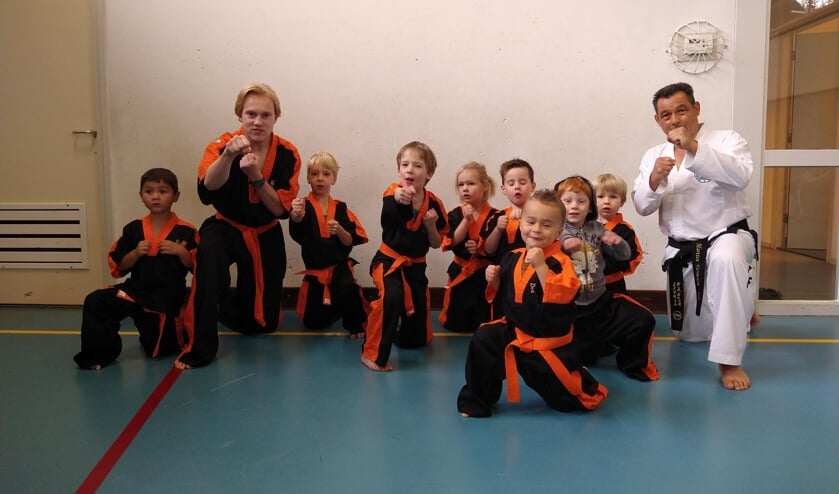 Taekwondo Tigers