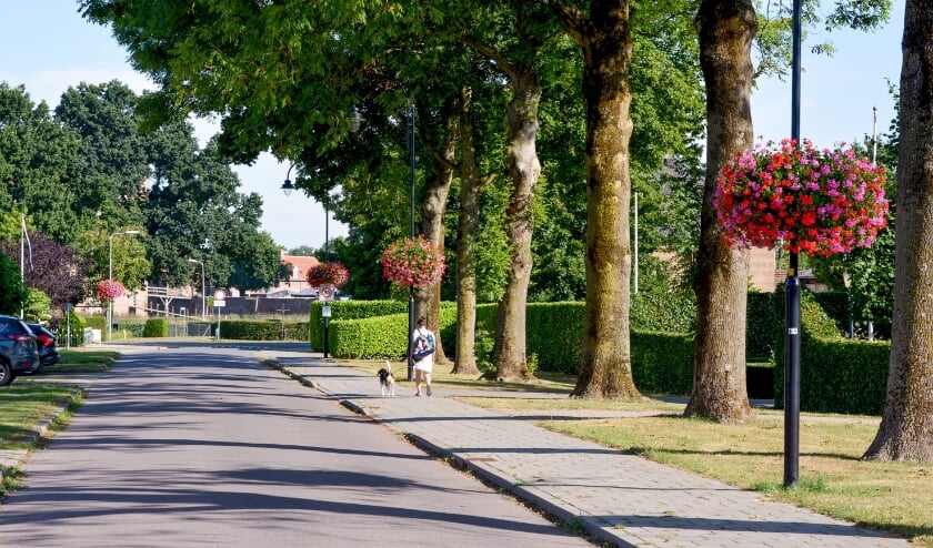 <p>Bloembaskets Kerkstraat. (foto: Richard van Driel)</p>