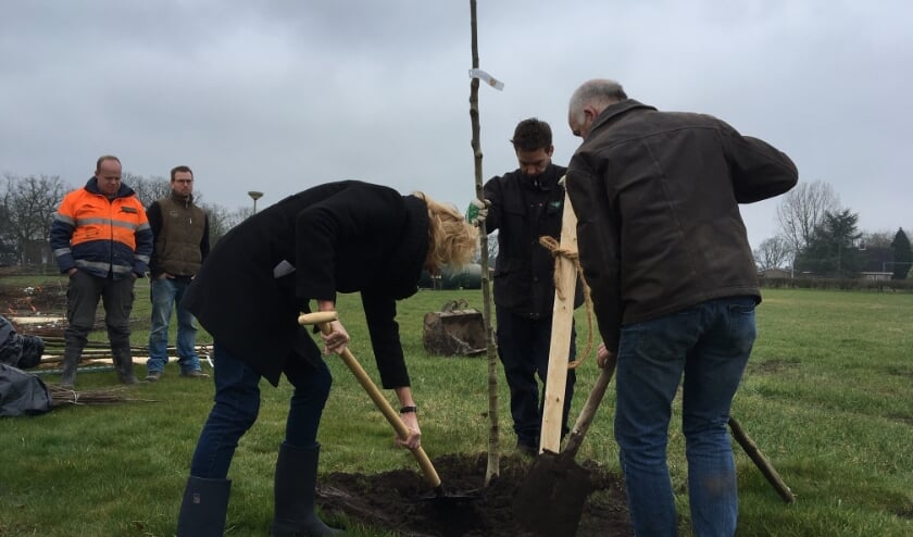 Plantdag in 2019