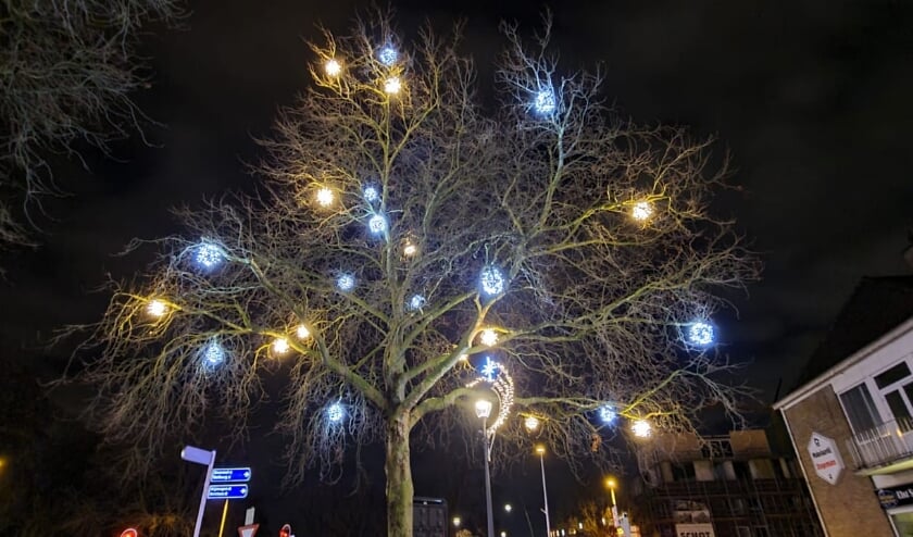 <p>Sfeerverlichting in grote boom entree centrum. (foto: Paul te Wierike)</p>
