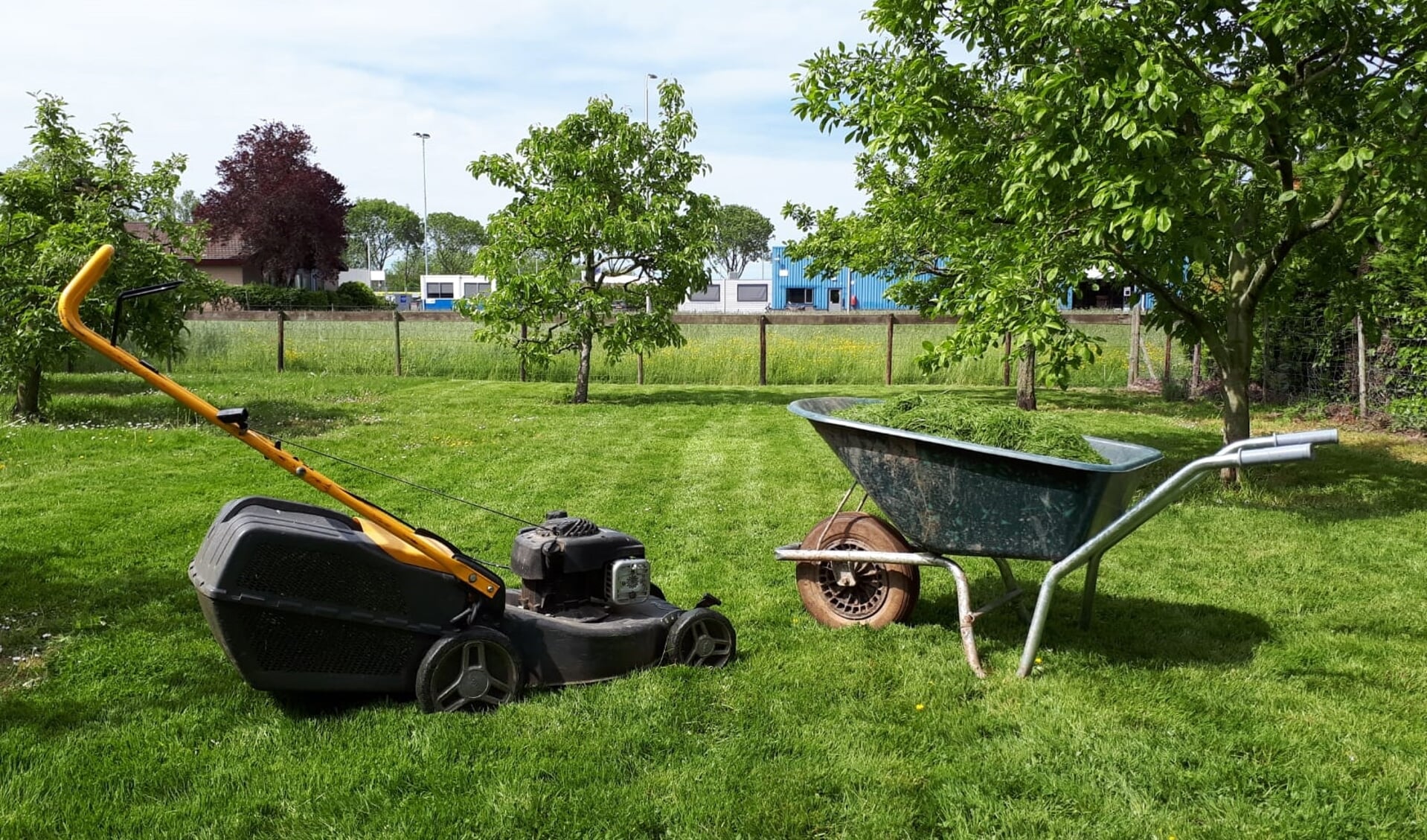 Cliënten van Hoog-Broek doen vanaf dit voorjaar eenvoudige klussen in de tuin of boomgaard. (foto: Zorgboerderij Hoog-Broek)