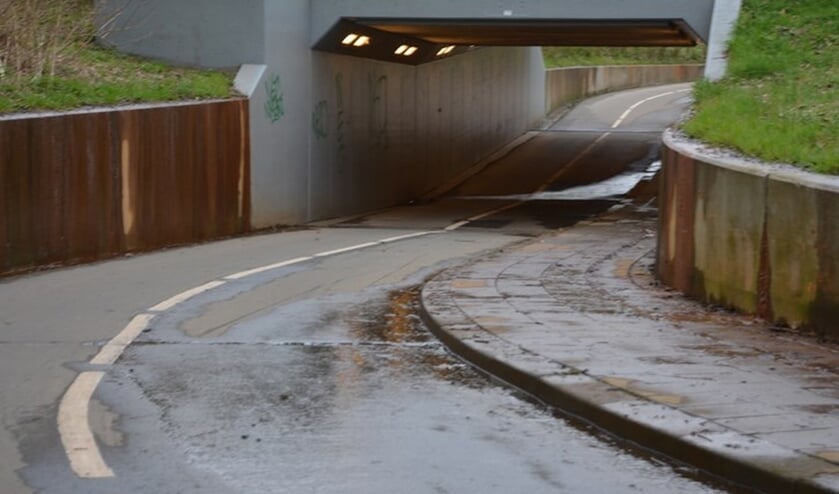 (foto: Rene Hendriks)