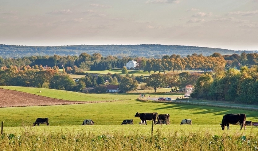 Uitzicht vanaf de Zevenheuvelenweg op het Duitse Reichswald.