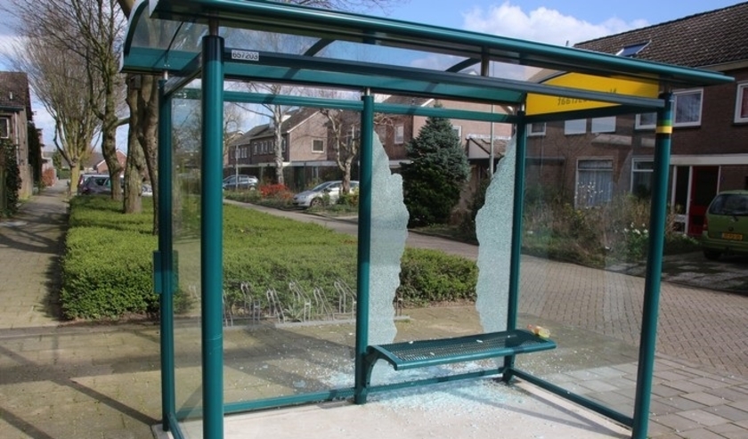 (foto: Bert Roodbeen)