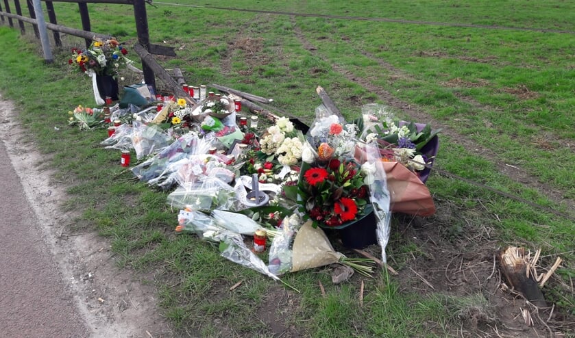 (foto: Joop Verstraaten)