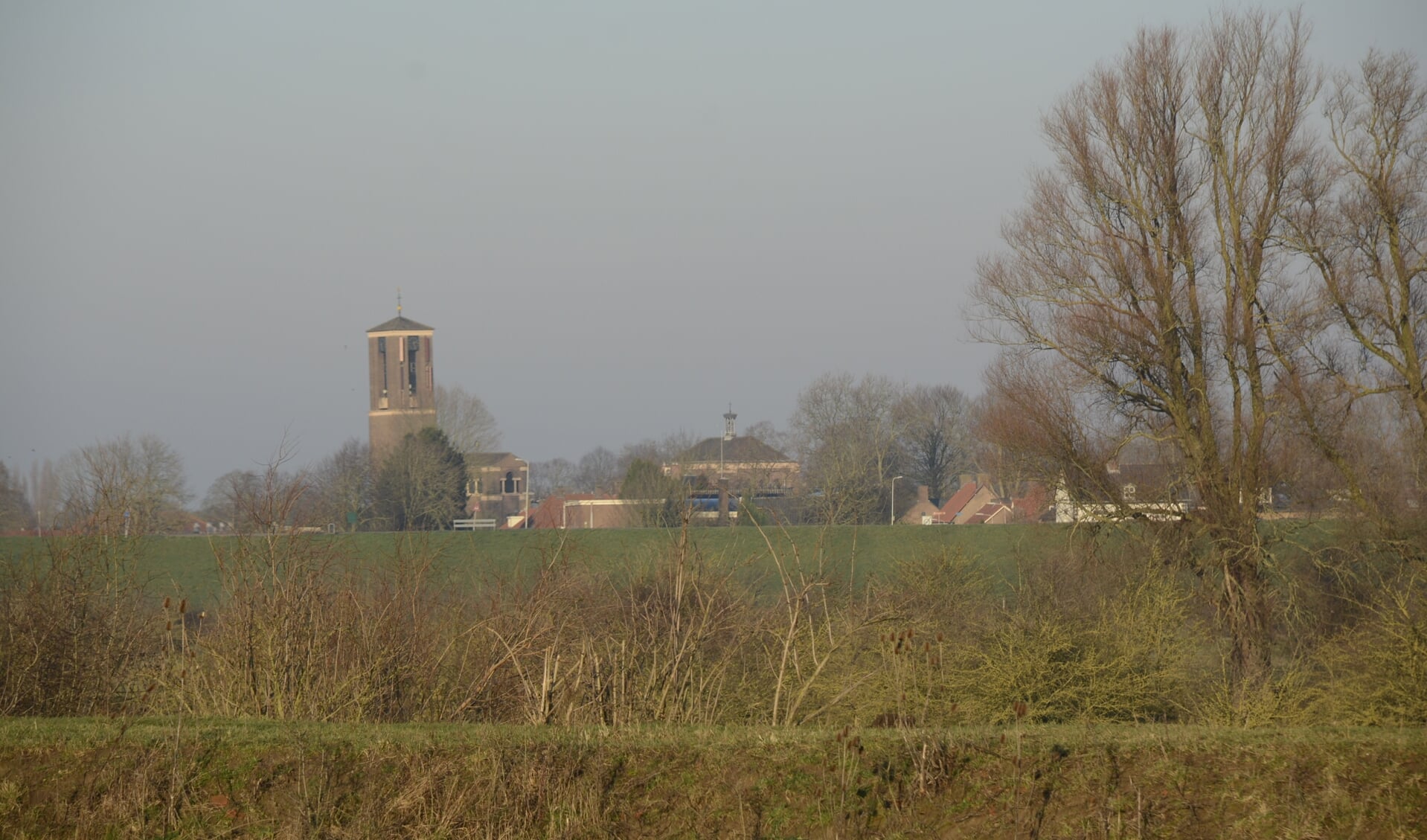 Het dorp Gendt vanuit de polder genomen. (foto: Willy Derksen)