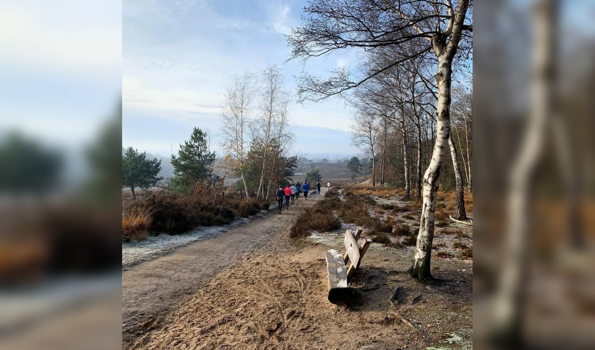 Loopcursus Plasmolen. (foto: Frank van Hulst)