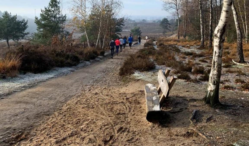 Loopcursus Plasmolen. (foto: Frank van Hulst)