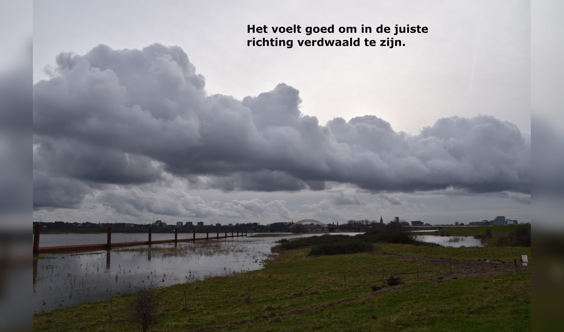 De Waal met zicht op Nijmegen. (foto: Marion Zwart)