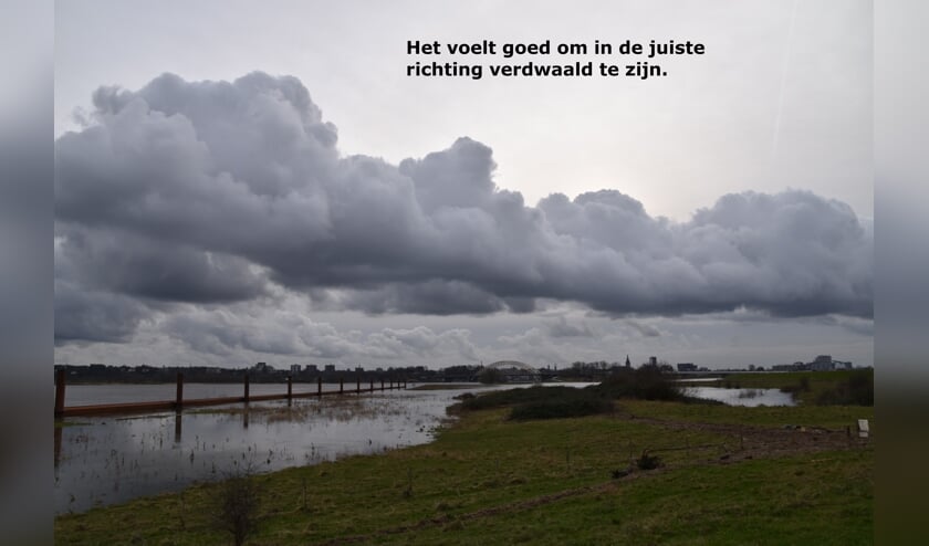 De Waal met zicht op Nijmegen. (foto: Marion Zwart)