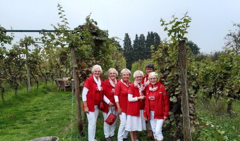 Bestuur stichting deBol Bemmel. (foto: deBol Bemmel)